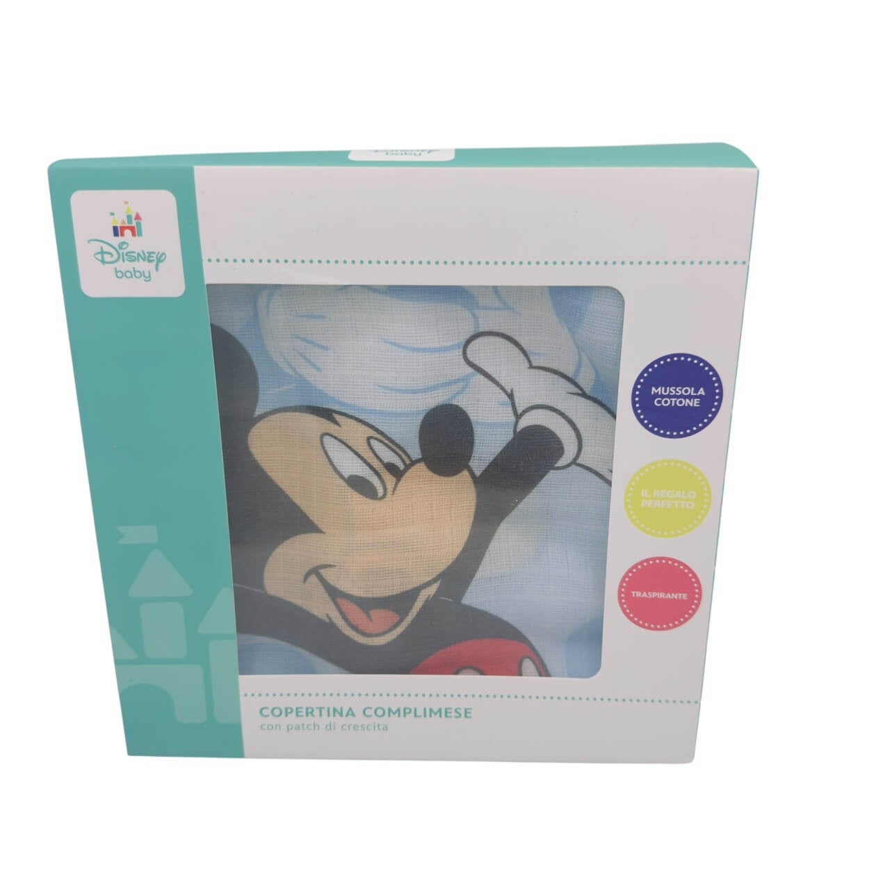 Disney Complimese Cover