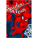 Fleeceplaid Spider-Man