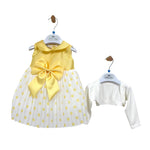 Elegantes Baby-Mädchen-Kleid