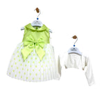 Elegantes Baby-Mädchen-Kleid