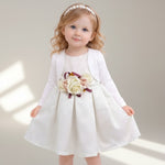 Elegantes Baby-Mädchen-Kleid